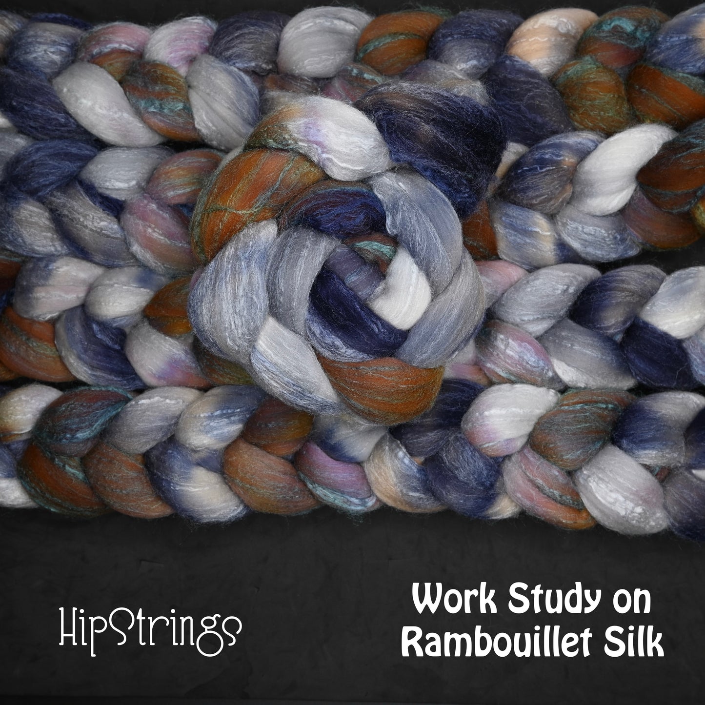 Work Study on Hand Dyed 80/20 Rambouillet Wool Tussah Silk Combed Top - 4 oz