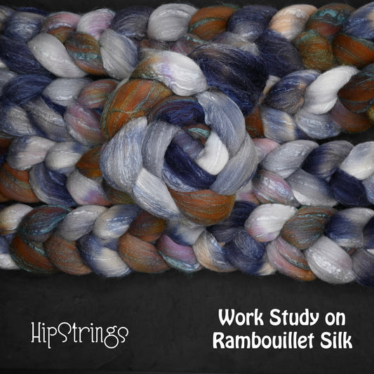 Work Study on Hand Dyed 80/20 Rambouillet Wool Tussah Silk Combed Top - 4 oz