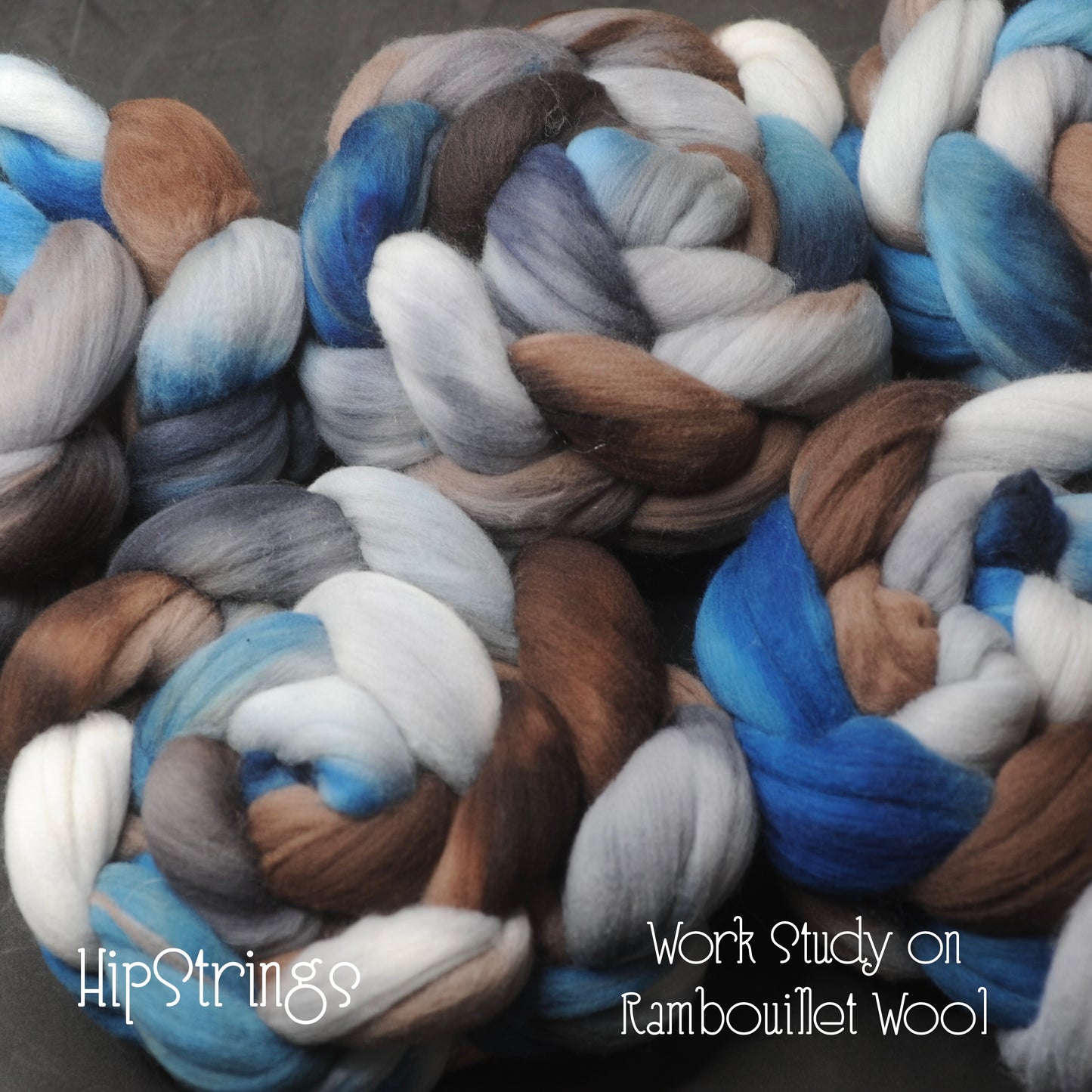 Work Study on Hand Dyed Domestic Rambouillet Wool Combed Top - 4 oz