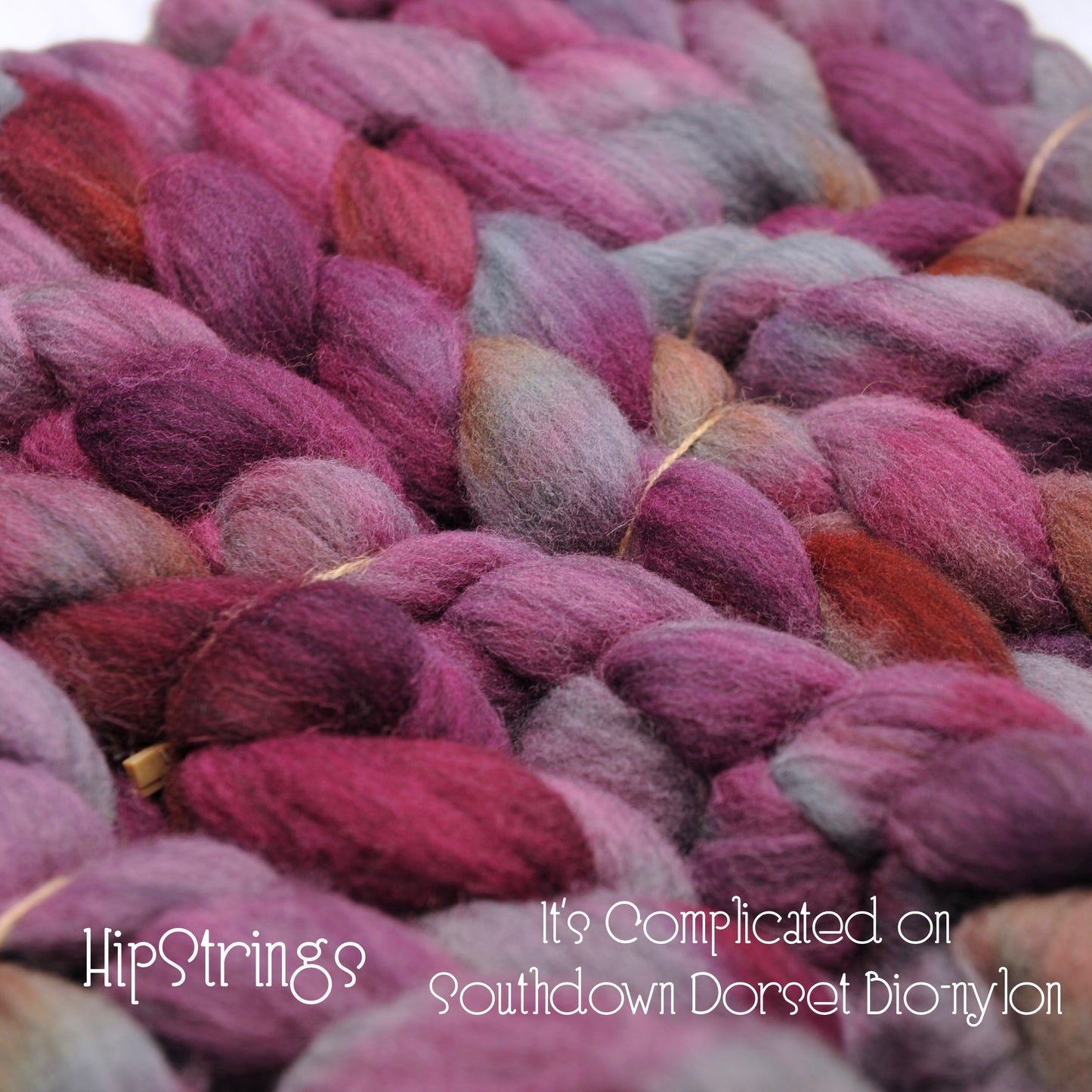 It's Complicated - Hand Dyed Southdown/Dorset Horn/Bio-Nylon Combed Top - 4 oz