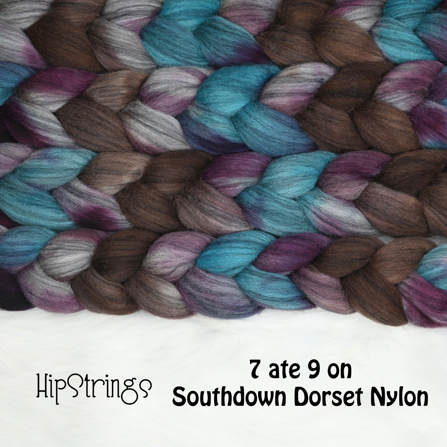 7 ate 9 on Hand Dyed Southdown Dorset Horn Bio-Nylon Combed Top - 4 oz
