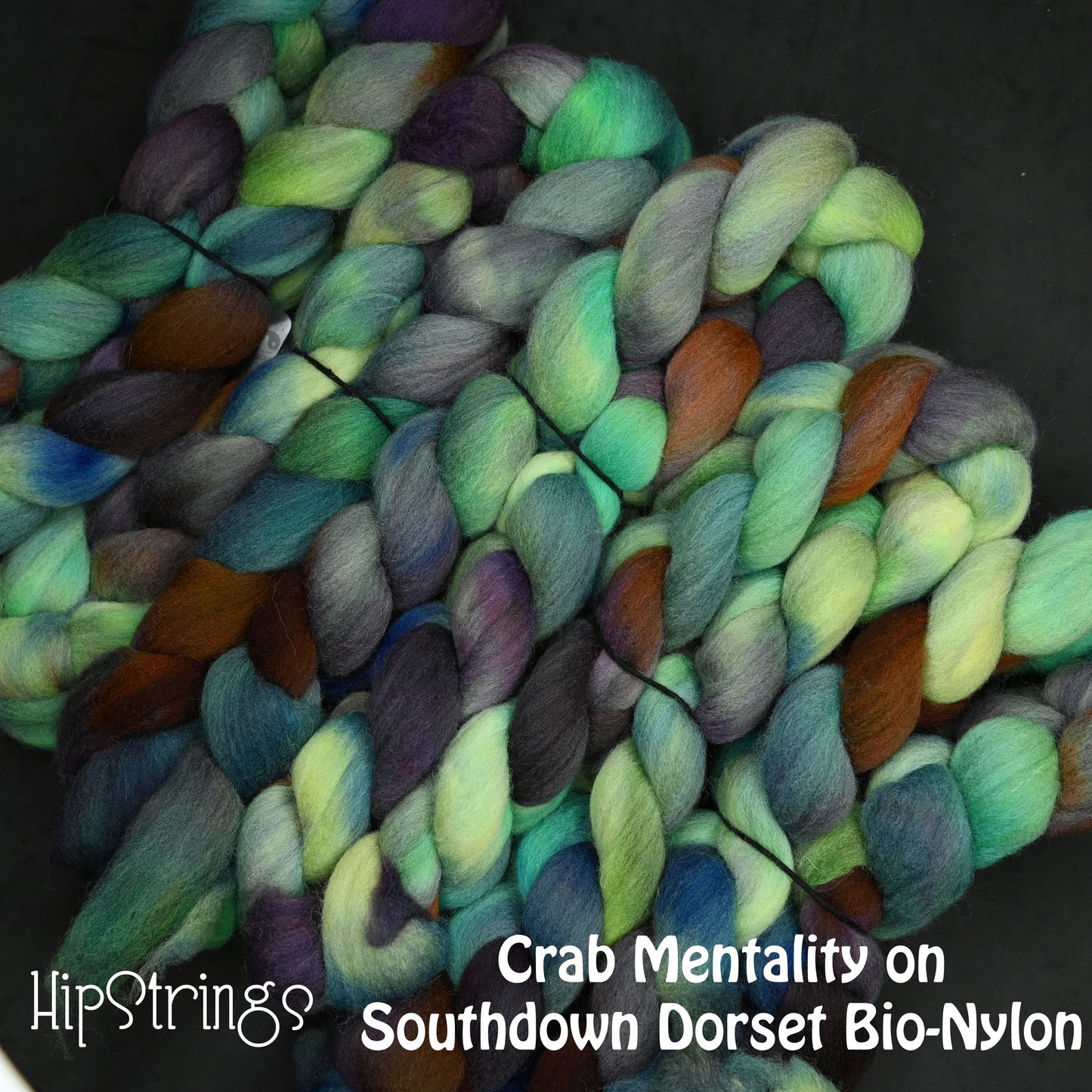 Crab Mentality on Hand Dyed Southdown/Dorset Horn/Bio-Nylon Combed Top - 4 oz