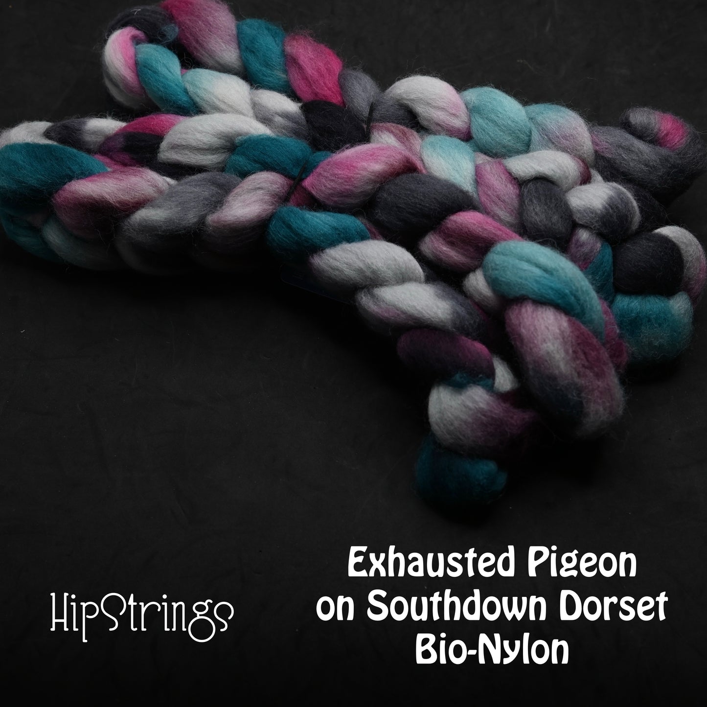 Exhausted Pigeon on Hand Dyed Southdown/Dorset Horn/Bio-Nylon Combed Top - 4 oz