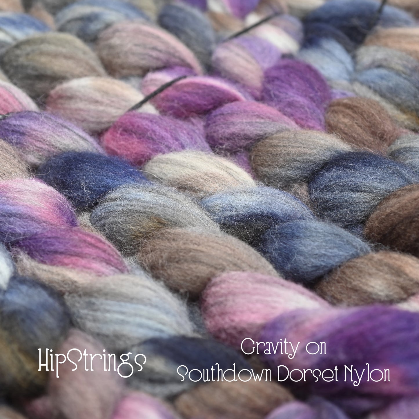 Gravity on Hand Dyed Southdown/Dorset Horn/Bio-Nylon Combed Top - 4 oz
