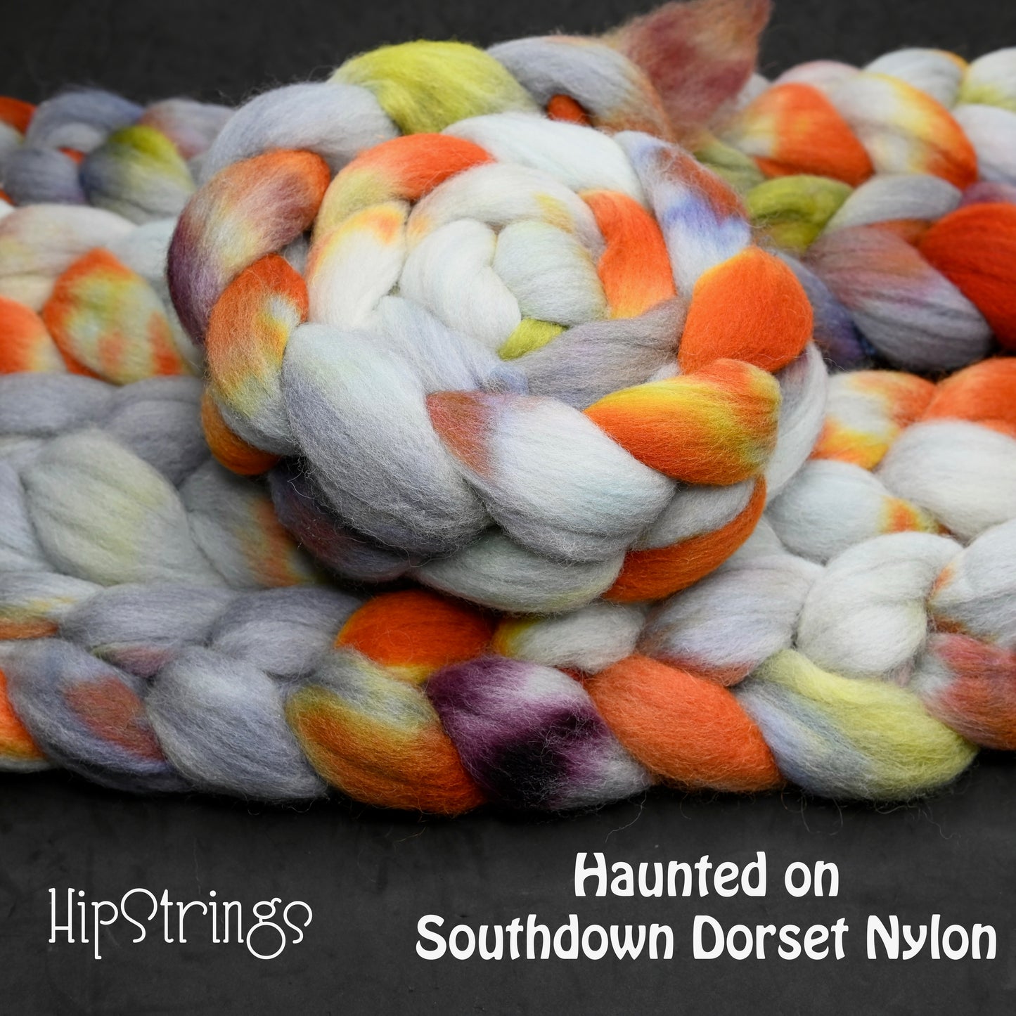Haunted on Hand Dyed Southdown/Dorset Horn/Bio-Nylon Combed Top - 4 oz