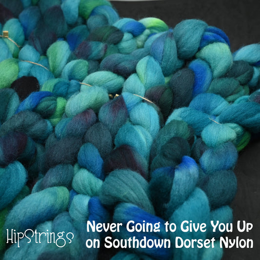 Never Going to Give You Up on Hand Dyed Southdown/Dorset Horn/Bio-Nylon Combed Top - 4 oz