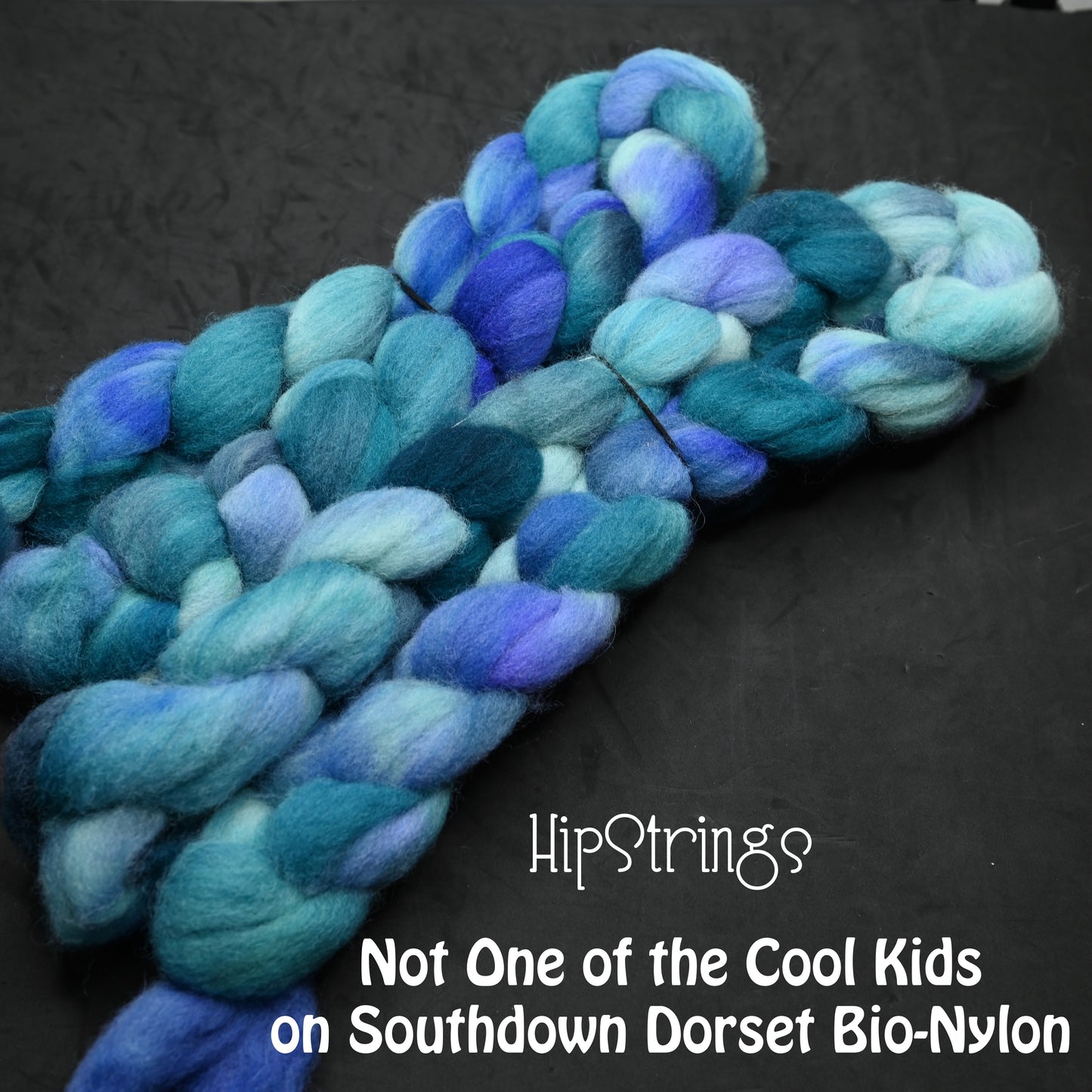 Not One of the Cool Kids - Hand Dyed Southdown/Dorset Horn/Bio-Nylon Combed Top - 4 oz