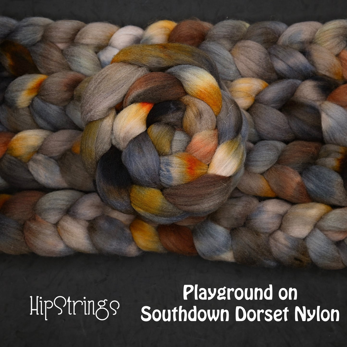 Playground on Hand Dyed Southdown/Dorset Horn/Bio-Nylon Combed Top - 4 oz