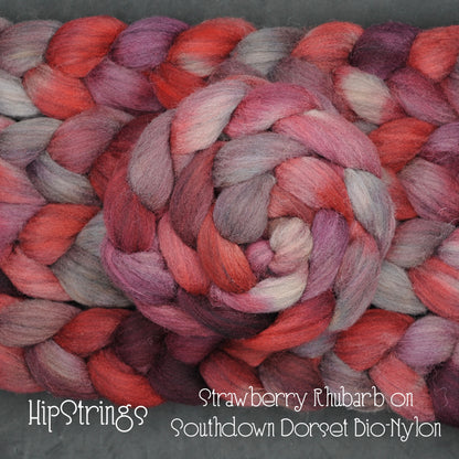 Strawberry Rhubarb on Hand Dyed Southdown/Dorset Horn/Bio-Nylon Combed Top - 4 oz