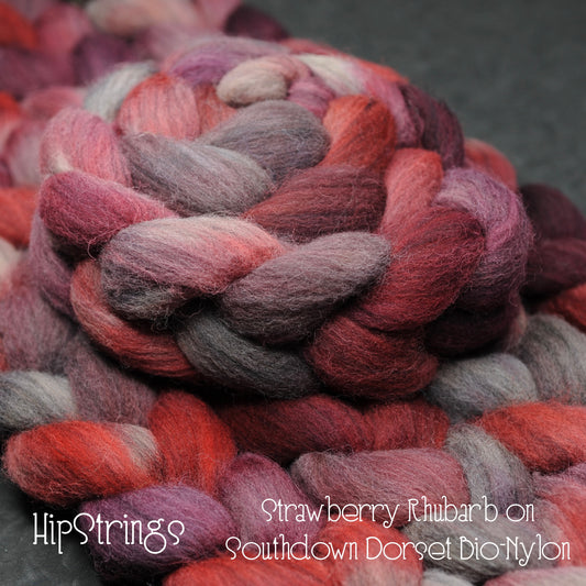 Strawberry Rhubarb on Hand Dyed Southdown/Dorset Horn/Bio-Nylon Combed Top - 4 oz