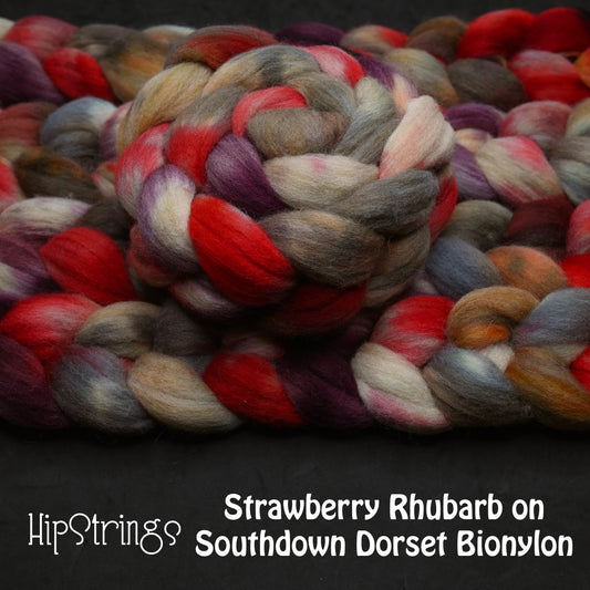 Strawberry Rhubarb on Hand Dyed Southdown/Dorset Horn/Bio-Nylon Combed Top - 4 oz