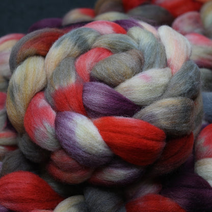 Strawberry Rhubarb on Hand Dyed Southdown/Dorset Horn/Bio-Nylon Combed Top - 4 oz