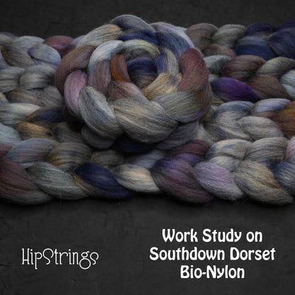 Work Study on Hand Dyed Southdown/Dorset Horn/Bio-Nylon Combed Top - 4 oz
