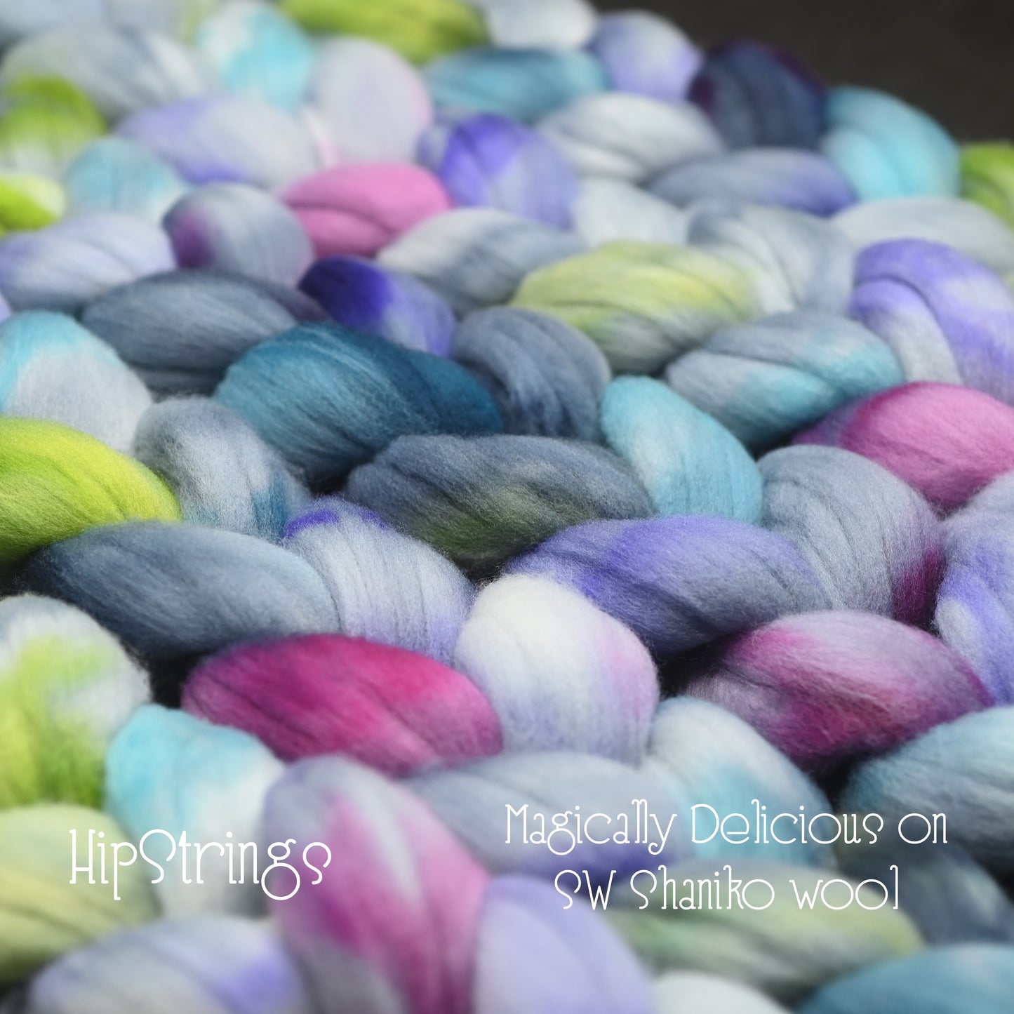 Magically Delicious on Hand Dyed SW Shaniko Wool Combed Top - 4 oz