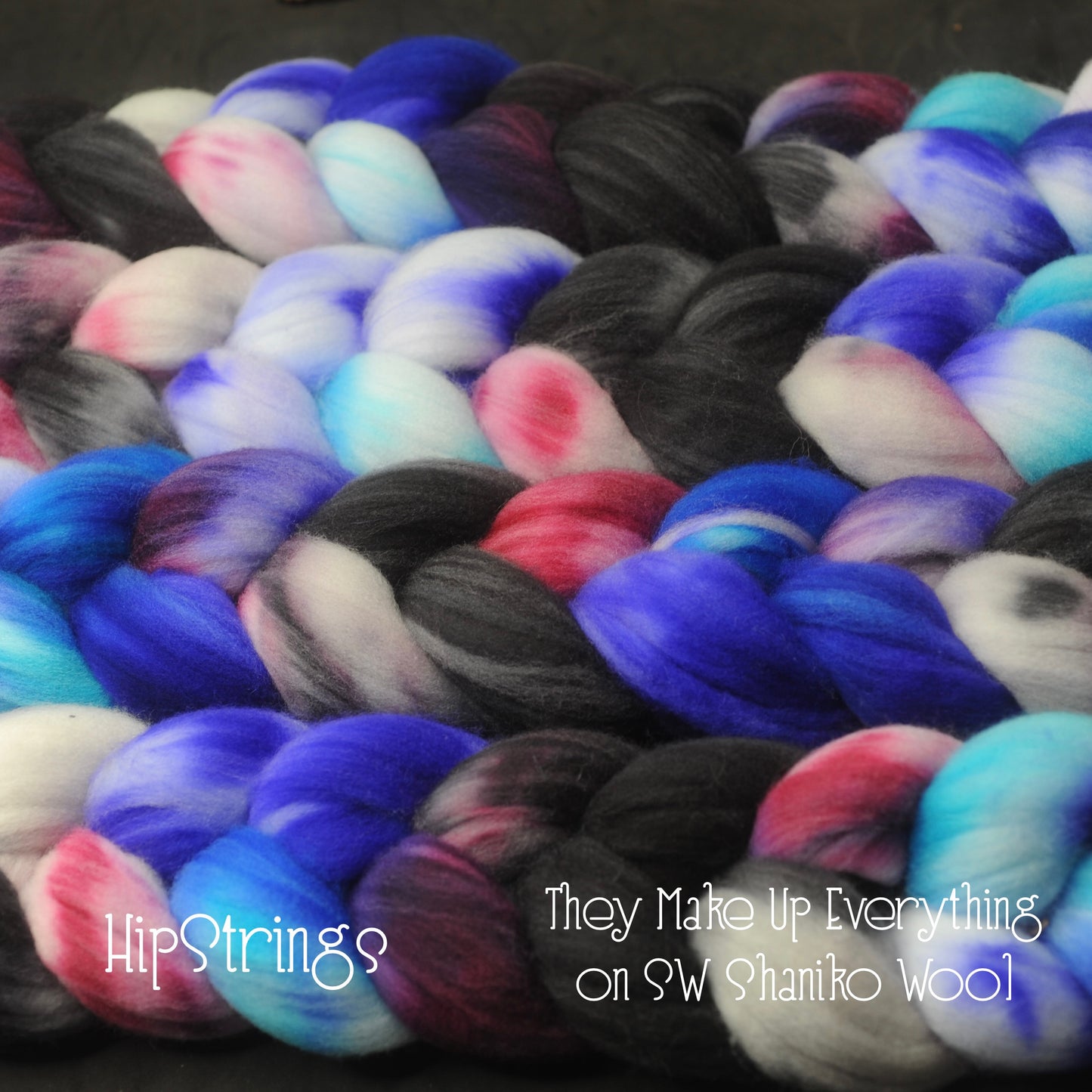 They Make Up Everything on Hand Dyed SW Shaniko Wool Combed Top - 4 oz