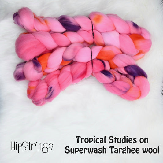 Tropical Studies on Hand Dyed Superwash Targhee Wool Combed Top- 4 oz