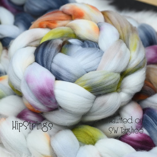 Haunted on Hand Dyed Superwash Targhee Wool Combed Top- 4 oz