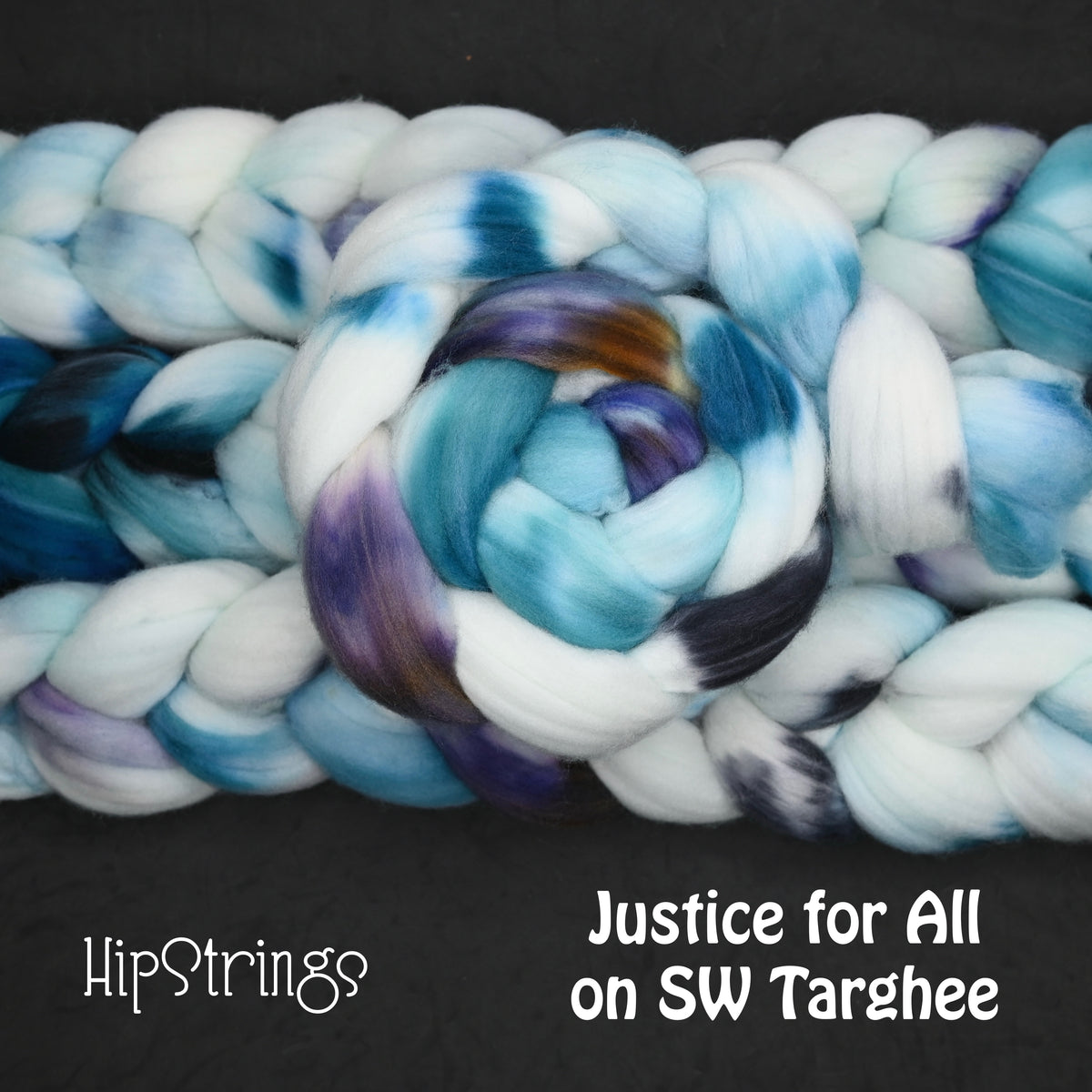 Justice for All on Hand Dyed Superwash Targhee Wool Combed Top - 4 oz