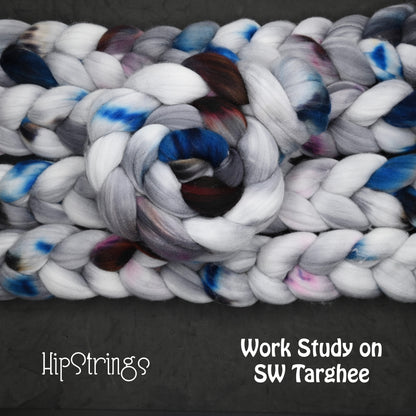 Work Study on Hand Dyed Superwash Targhee Wool Combed Top - 4 oz