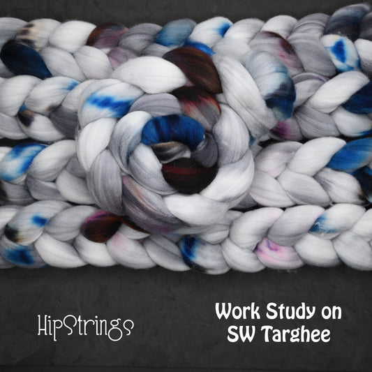 Work Study on Hand Dyed Superwash Targhee Wool Combed Top - 4 oz