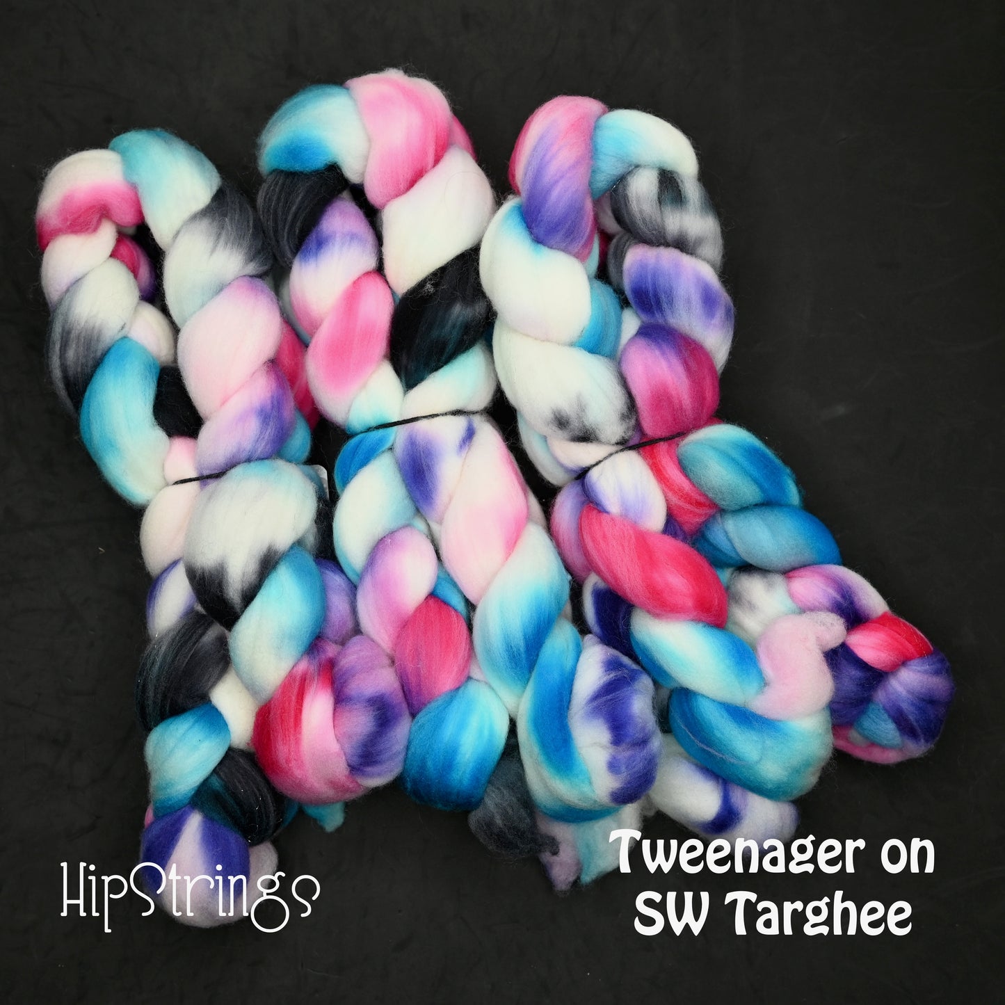Tweenager on Hand Dyed Superwash Targhee Wool Combed Top - 4 oz