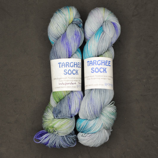 Independent Study in Magic on Hand Dyed Targhee Wool Sport Yarn - 300 yd/100 g