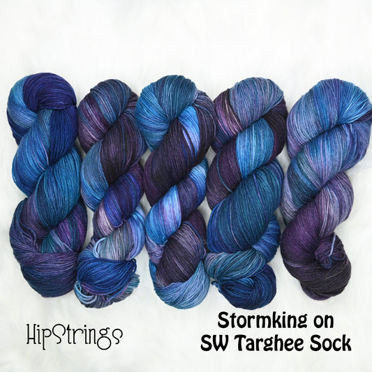 Stormking on Hand Dyed SW Targhee Wool Nylon Sock Yarn - 465 yd