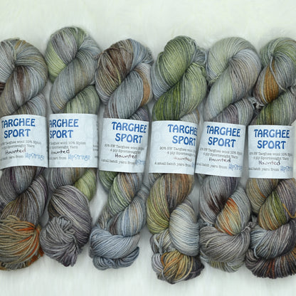 Haunted on Hand Dyed Targhee Wool Sport Yarn - 300 yd/100 g