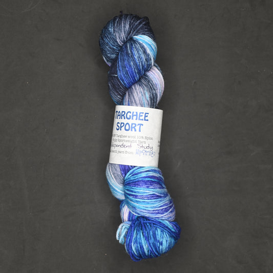 Independent Study in Blurple on Hand Dyed Targhee Wool Sport Yarn - 300 yd/100 g