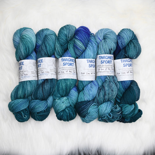 Not One of the Cool Kids on SW Targhee Wool Sport Yarn - 300 yd/100 g