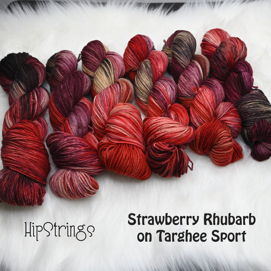 Strawberry Rhubarb on Hand Dyed Targhee Wool Sport Yarn - 300 yd/100 g