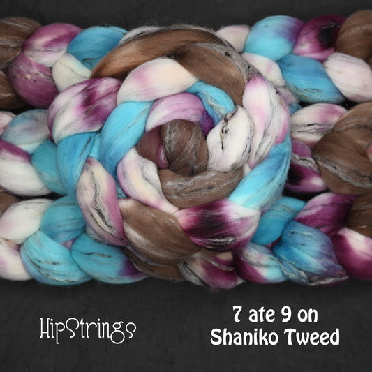 7 ate 9 on Hand Dyed Shaniko Wool Tweed Combed Top - 4 oz