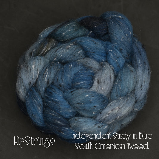 Independent Study in Blues on Hand Dyed Tweed South American Wool Viscose Combed Top - 4 oz