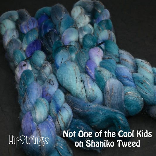 Not One of the Cool Kids on Hand Dyed Shaniko Wool Tweed Combed Top - 4 oz