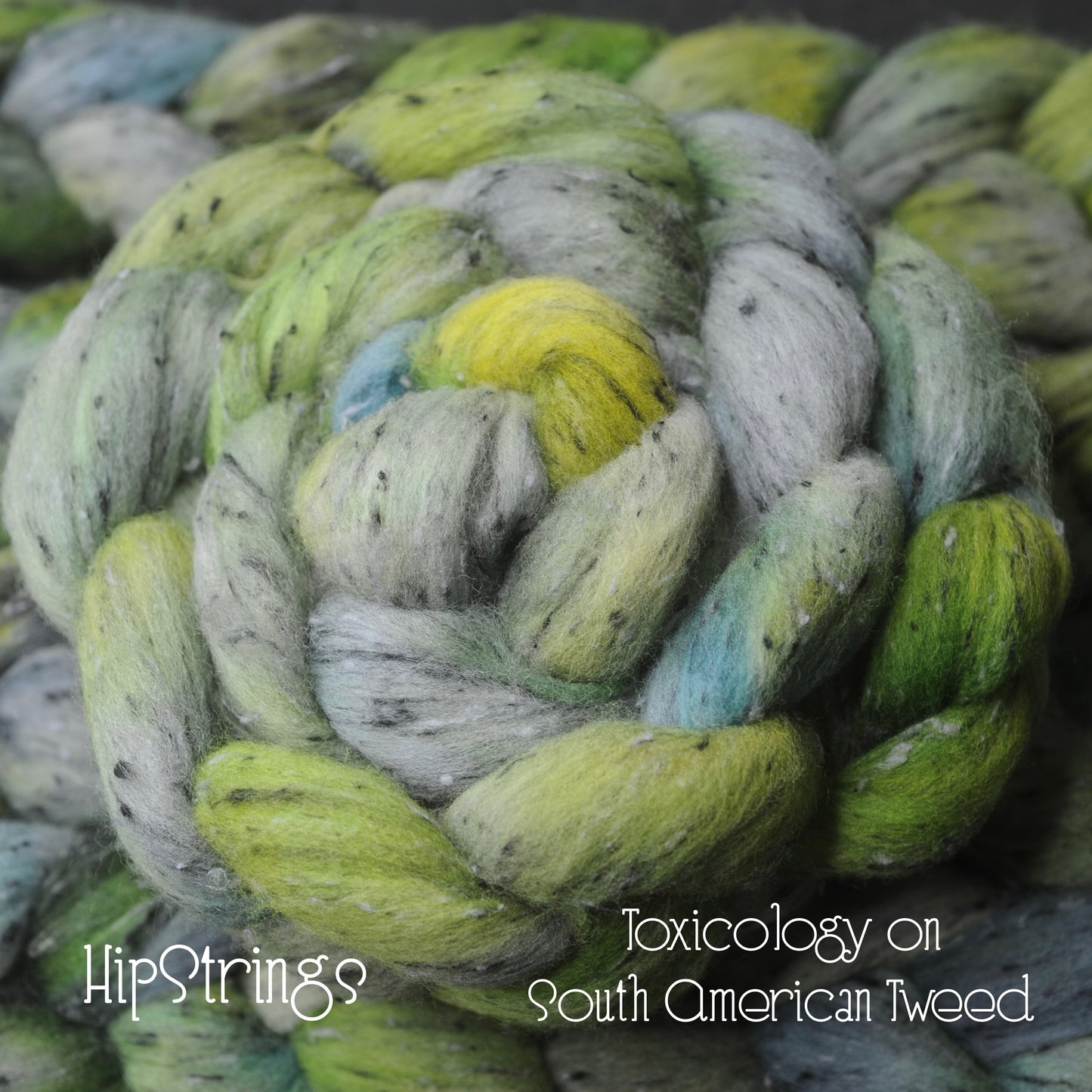 Toxicology on Hand Dyed Tweed South American Wool Viscose Combed Top - 4 oz
