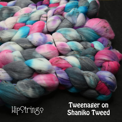 Tweenager on Hand Dyed Shaniko Wool Tweed Combed Top - 4 oz