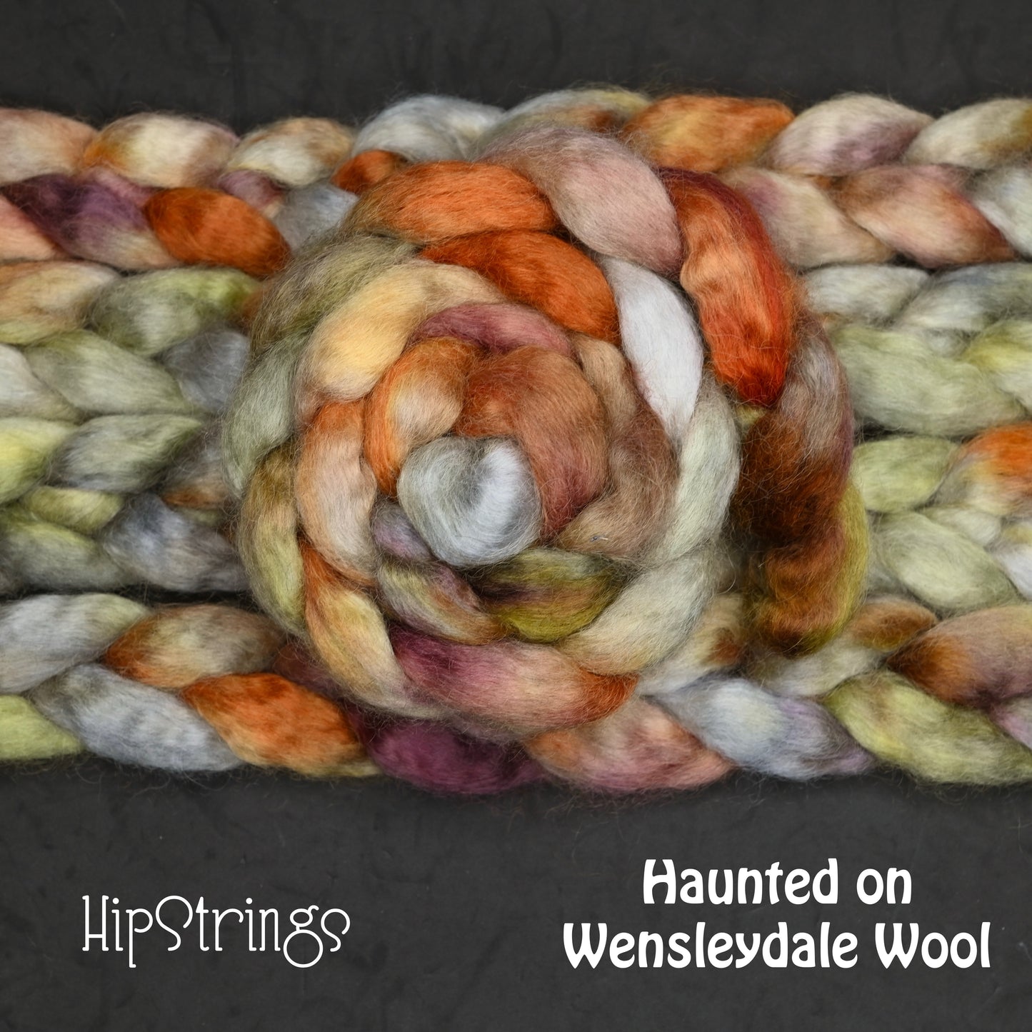 Haunted on Hand Dyed Wensleydale Wool Combed Top - 4 oz