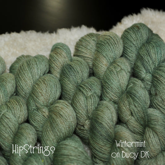 Wintermint on Hand Dyed Buoy (BFL/Shetland/Manx Wool) DK yarn - 100 g