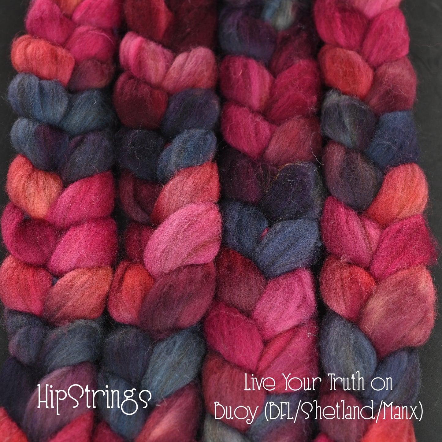 Live your Truth - Hand Dyed Buoy (BFL/Shetland/Manx) Signature Blend - 4 oz
