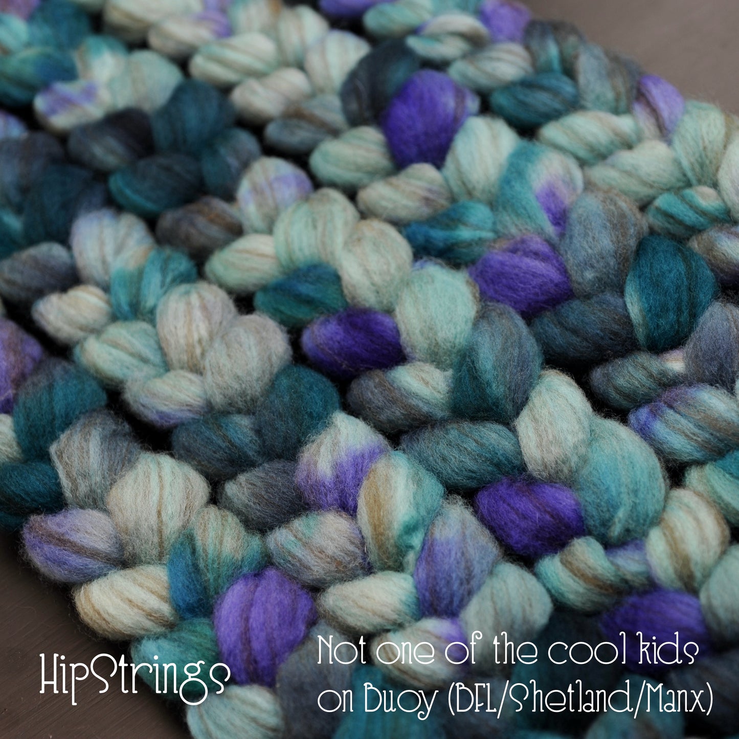 Not one of the cool kids - Hand Dyed Buoy (BFL/Shetland/Manx) Signature Blend - 4 oz