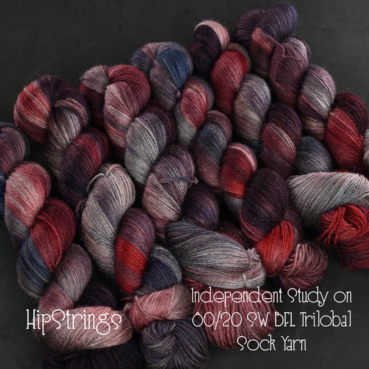 Independent Study on Extra Credit SW BFL Nylon Sock yarn - 437 yd/100g