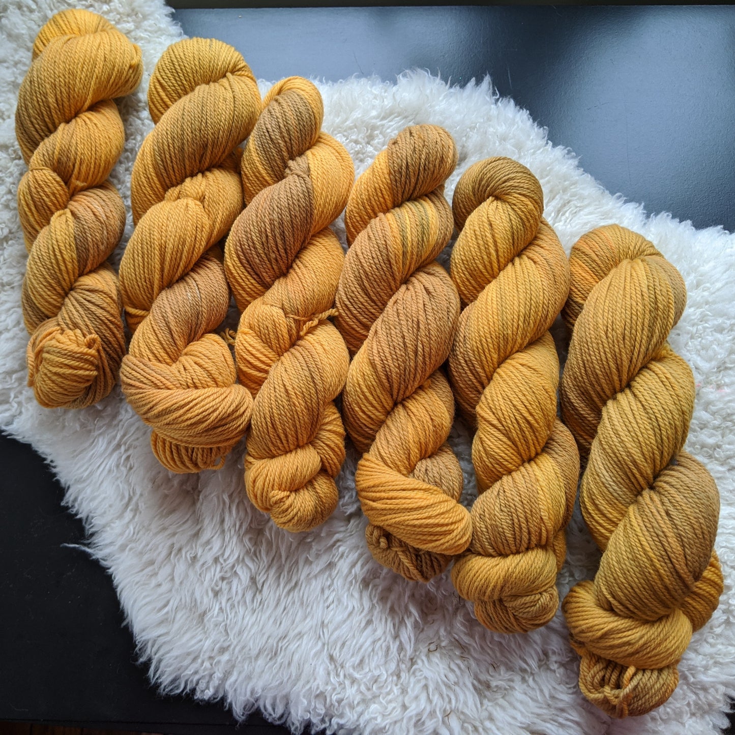 Harvest on Targhee Wool Worsted Yarn