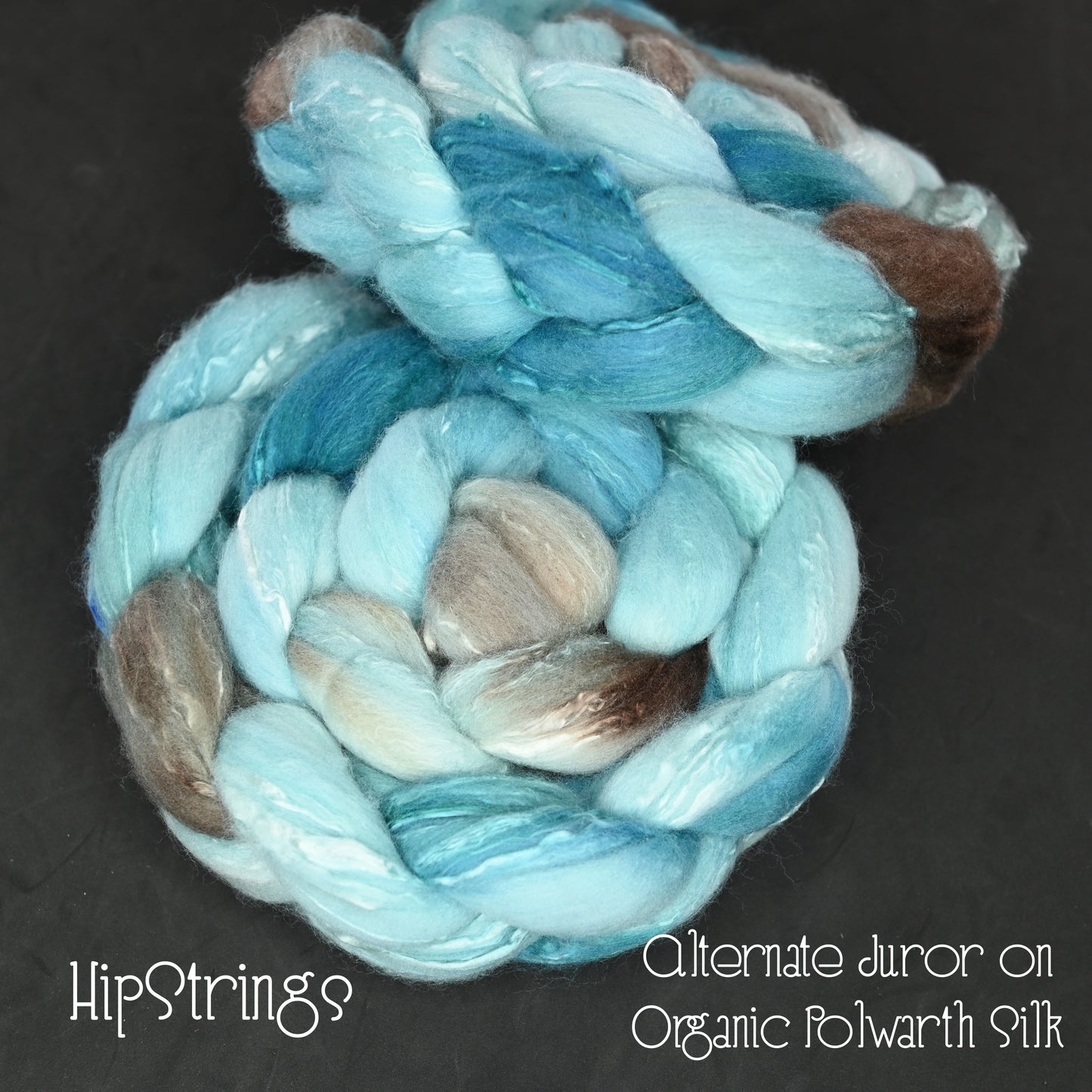Alternate Juror on Hand Dyed Organic Polwarth Silk Combed Top - 4 oz