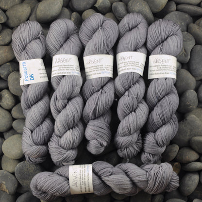 Argent on Hand Dyed Polwarth wool DK yarn - 300 yd/100g