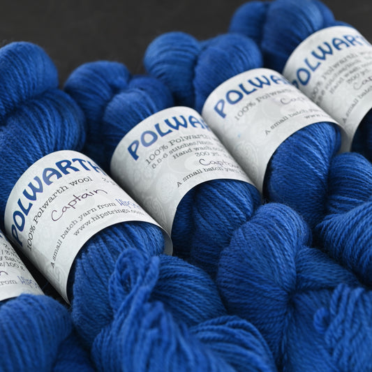 Captain on Hand Dyed Polwarth Wool DK yarn - 100g