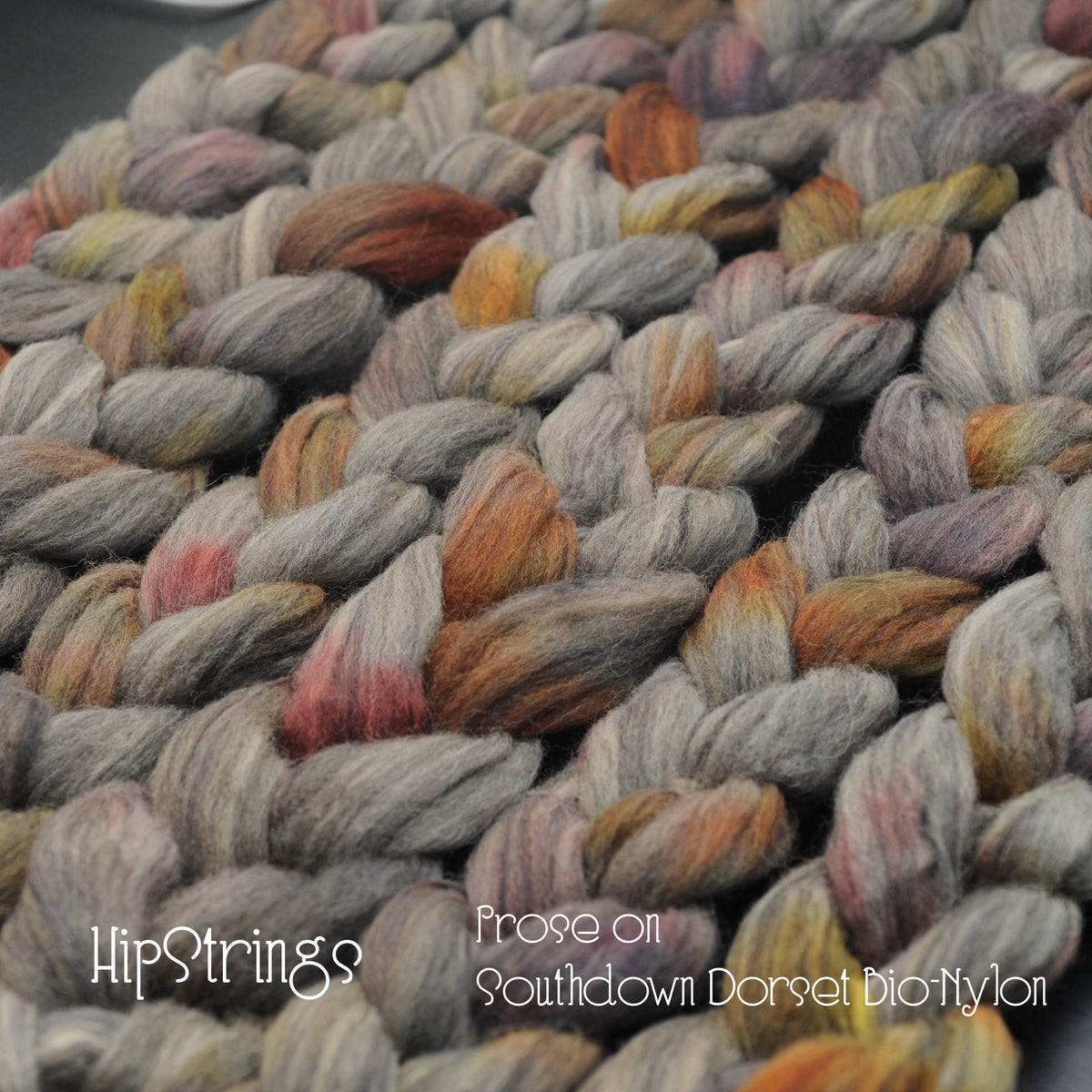 Prose - Hand Dyed Southdown/Dorset Horn/Bio-Nylon Combed Top - 4 oz