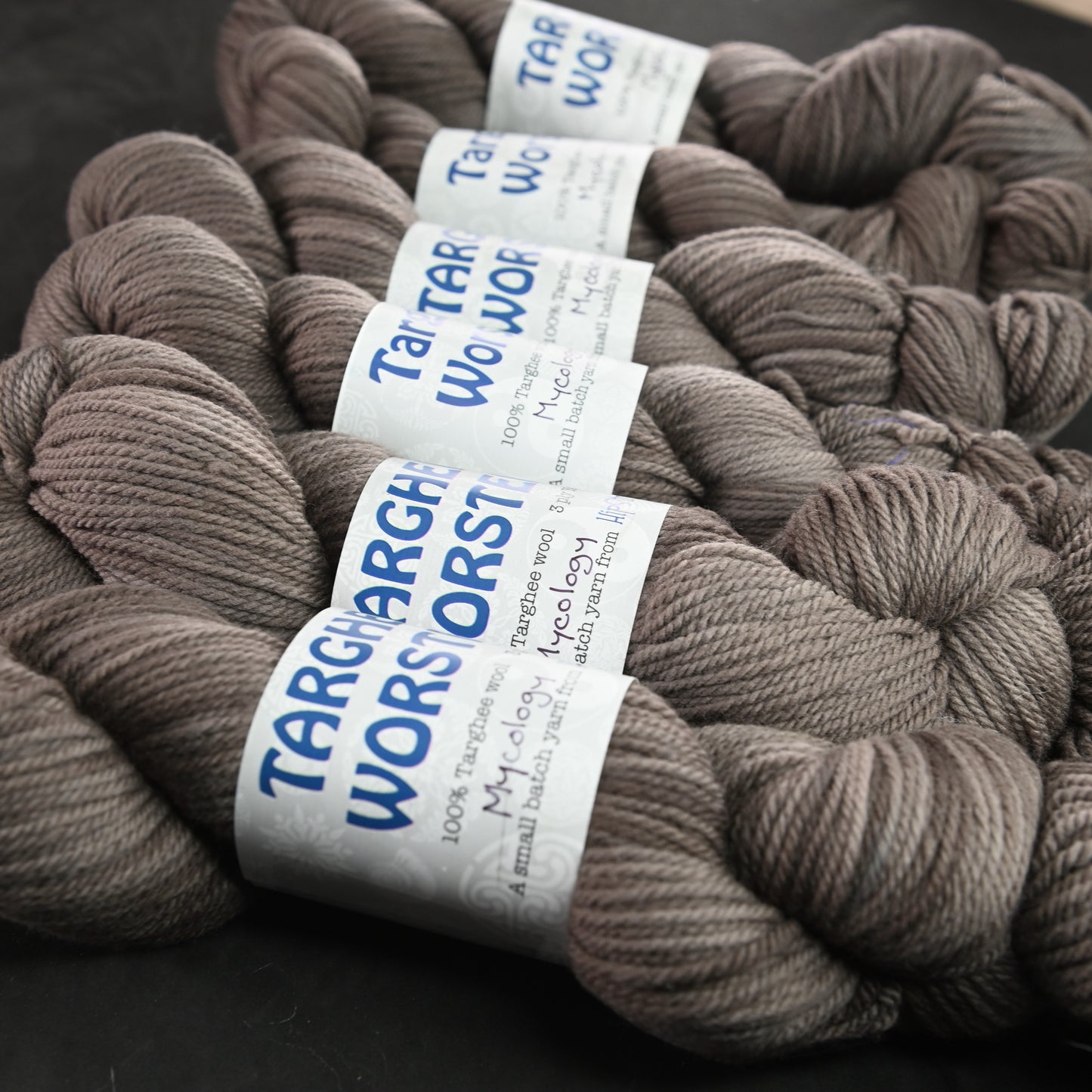 Mycology on Hand Dyed Targhee Wool Worsted Yarn - 230 yd/100g
