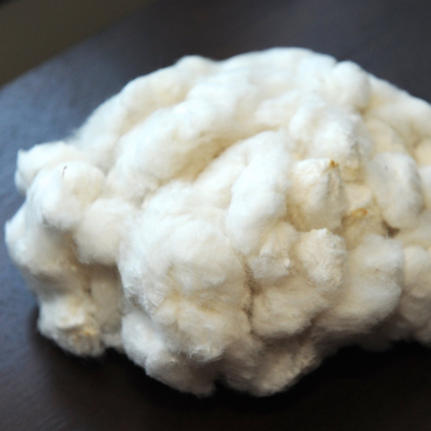 Domestic Seed Cotton - 4 oz